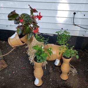 Meet your Posher, Katrina